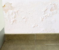 壁からの水漏れ？水漏れの原因から応急処置の手順までをプロが解説