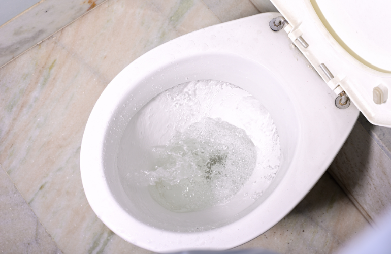 トイレの封水が少ない時の4つの原因とは？対処法から予防法までを紹介！
